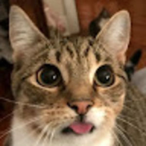 Meet your Posher, Natasha